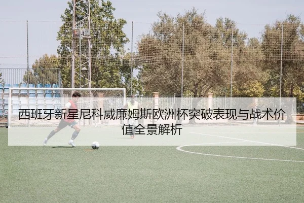 西班牙新星尼科威廉姆斯欧洲杯突破表现与战术价值全景解析